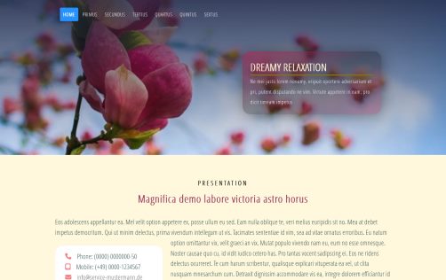 Homepage Vorlage , templates , Homepage-Vorlagen,  free download