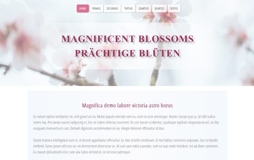 Homepage Vorlage , templates , Homepage-Vorlagen,  free download